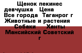 Щенок пекинес девчушка › Цена ­ 2 500 - Все города, Таганрог г. Животные и растения » Собаки   . Ханты-Мансийский,Советский г.